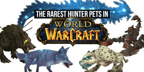 wow pets for hunters